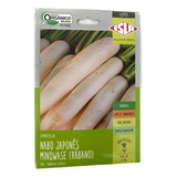 Nabo Rábano Japonês Minowase Orgânico - 2.50gr De Sementes