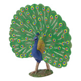 Modelo De Pavo Real De Simulación, Altamente Decorativo Para