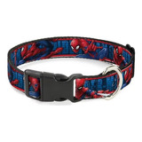 Collar Perros Marvel Spiderman Importado Calidad Premium 