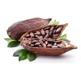 Semilla De Cacao Tostado Y Pelado 500gramos-chiapas