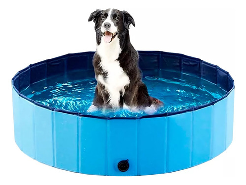 Piscina Para Mascotas Perros 120x30 Cm Verano