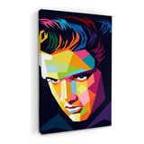 Cuadros Popart Tipo Oleo En Canvas Artistíco Color Elvis-preysley2
