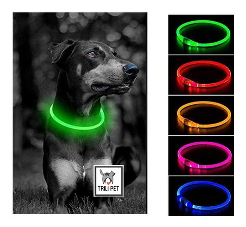 Collar  Perro Con Luz-carga Usb- Resistente Agua