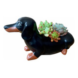 Perro Salchicha Con Suculentas, Ideal Para Decoración,regalo