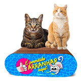 Arranhadinho Arranhador Brinquedo Para Gatos