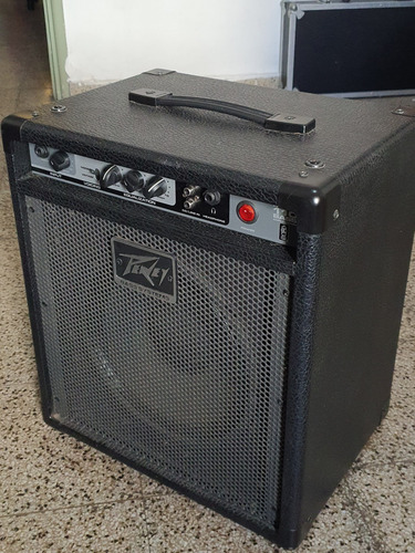 Peavey Max 110