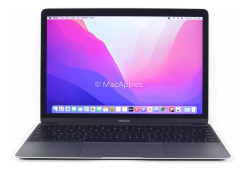 Macbook 12 Pulgadas Retina Intel M3 256gb Ssd Gris Espacial