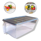 Caja Organizadora Refrigerador Con Tapa Y Mango Dispensador