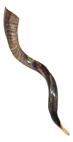 Shofar De Israel 101cm Sh27