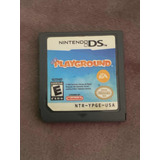 Playground Nintendo Ds Solo Cartucho