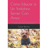Como Educar A Un Yorkshire Terrier Con Amor: Adiestramiento