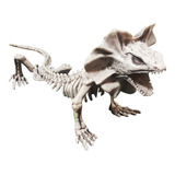 Decorativo Esqueleto Lizard Skeleton Lagarto Halloween Casa