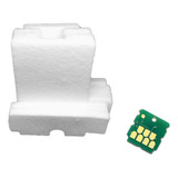 Almohadillas + Chip Para Caja Mantenimiento  Epson Sc F170 