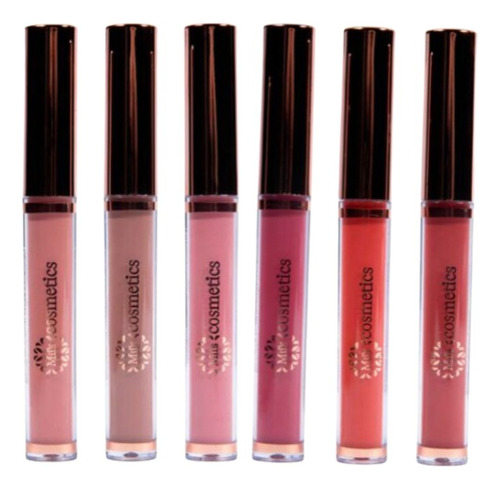 6 Labiales Mate A Prueba De Ag - g a $997