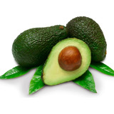 Arbol Palta Hass Frutal Orgánico - Medium - Envíos