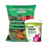 Combo Substrato Rosa Do Deserto 14kg + Fertilizante Forth