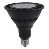 Foco Lampara Par38 Led 16 W E27 Luz De Luna Verde Jardin X 6