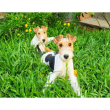 Cachorros Fox Terrier Wire (tricolor)