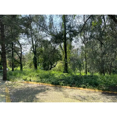 Venta De Terreno Con Casa Club En Tesmic, Xochimilco