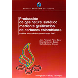 Producción De Gas Natural Sintético Mediante Gasificación De