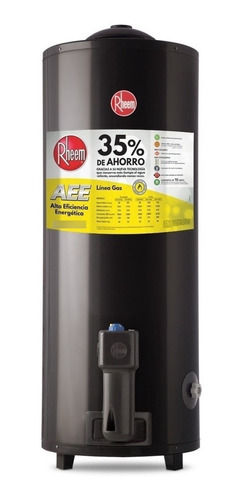 Termotanque Rheem Gas 80 L Pié Aee Ecologico C/envio Caba!!