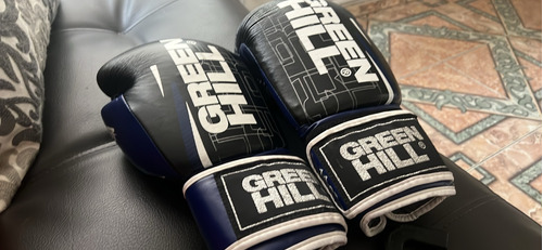 Guantes De Boxeo Green Hil