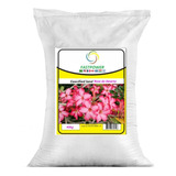 Terra Vegetal Preparada Especifica Para Rosa Do Deserto 40kg