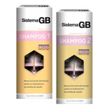 Kit  Sistema Gb Shampoo 1 Y 2 Caida De Cabello Mujer