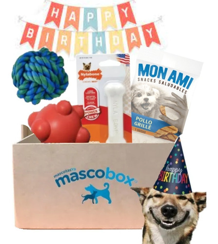 Mascobox Kit Juguetes Cumpleaños Box Perros Huesos Regalos 