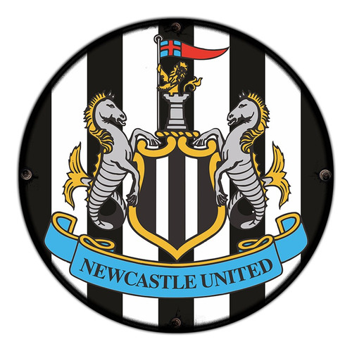#817 - Cuadro Decorativo - Newcastle United Futbol No Chapa