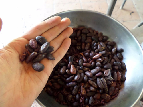 Nibs De Cacao Chiapaneco 5kg