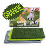 Tapete Entrenamiento Perros Potty Pad Grande