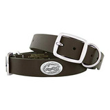 Zep-pro Florida Gators Brown Cuero Collar De Perro Concho, G