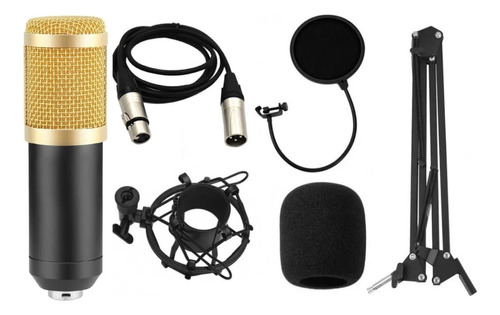 Kit Microfone Condensador Bm800  Original Cabo Xlr/p2 Top 