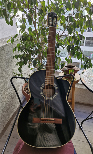 Guitarra Electroacústica Takamine Eg124c Con Afinador + Capo