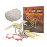 Beyondtrade Dinosaurio Dig Kit Para Niños, Dino Fósil Kits D