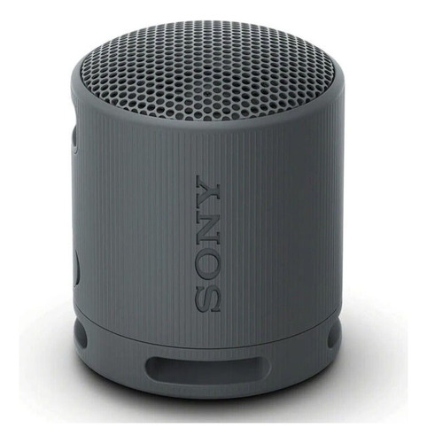 Parlante Sony Extra Bass Srs-xb100 Portatil Con Bluetooth 