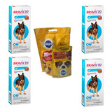 Combo Bravecto Anti Pulga Carrapato 4un  Cães De 20a40kg