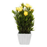Planta Artificial Flor Con Maceta Colores M12 - Sheshu Home