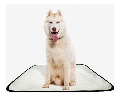 Tapete Para Cães Higiênico Em Oferta 2 Un M 60x80 Cm