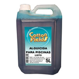 Alguicida Pileta Piscina X 5 Litros - Rinde 1l En 100.000l