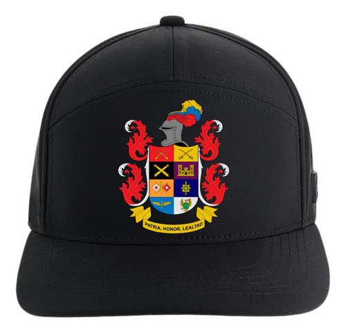 Gorra Ejercito Colombia Army 5 Paneles Premiun Black 