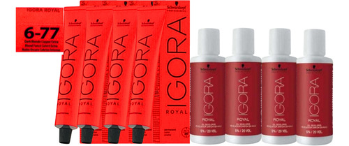  Igora Royal(4un)tinta 6-77 Louro Escuro Cobre+(4un) Ox20 Vl