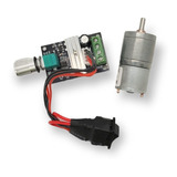 Motor Dc 12v Alto Torque 25ga310 + Controlador De Velocidade