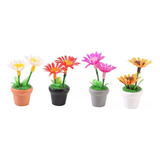 2 X 4 Uds Mini Planta En Maceta Flores En Miniatura Para