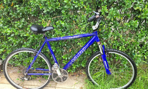 Bicicleta Vairo Xr3.5 