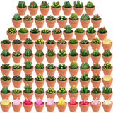 84 Velas Suculentas De Cactus Con Maceta De Terracota, Mini 