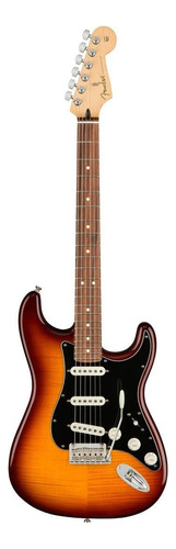 Guitarra Elétrica Fender Player Stratocaster Plus Top De  Amieiro Tobacco Burst Brilhante Com Diapasão De Pau Ferro