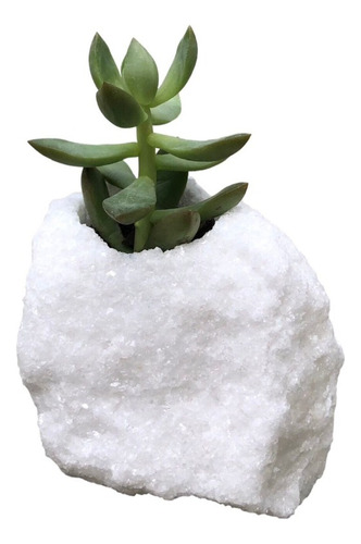 Mini Vaso Mármore Bruto Branco P/ Suculentas E Plantinhas