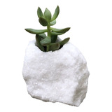 Mini Vaso Mármore Bruto Branco P/ Suculentas E Plantinhas